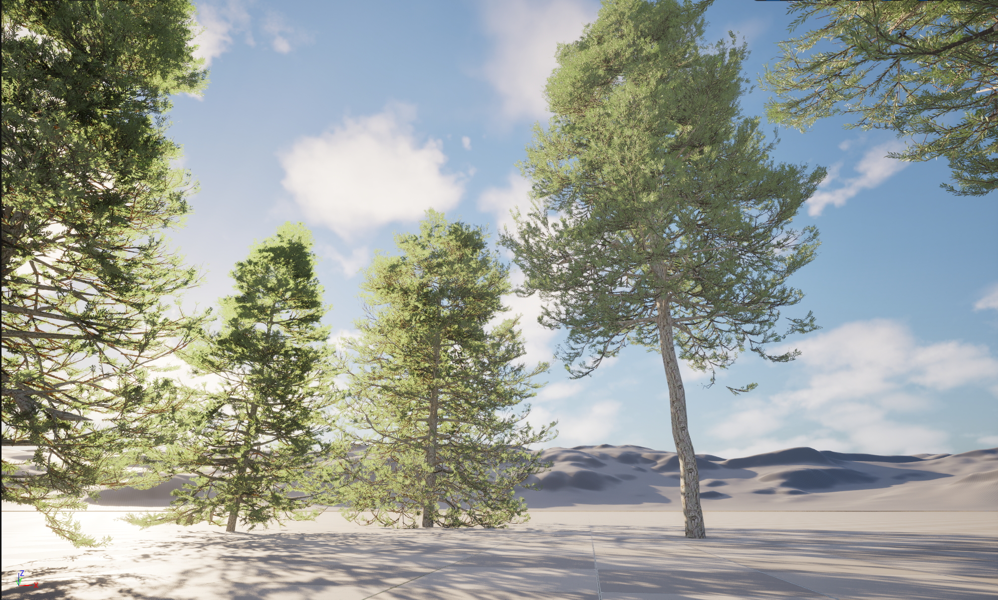 UE5 Nanite Plant Tree - Pseudotsuga menziesi - Douglas fir