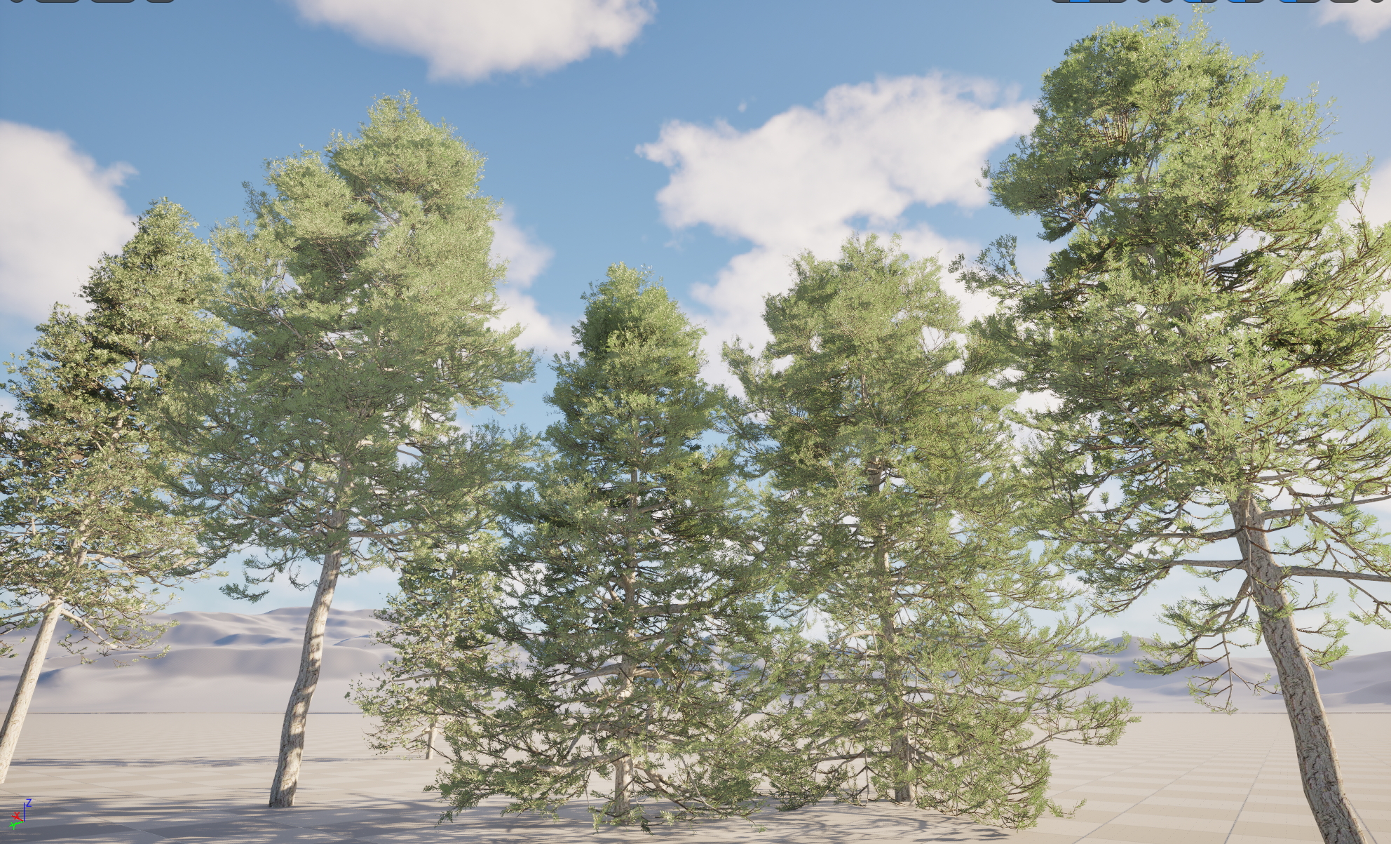 UE5 Nanite Plant Tree - Pseudotsuga menziesi - Douglas fir - Image 2