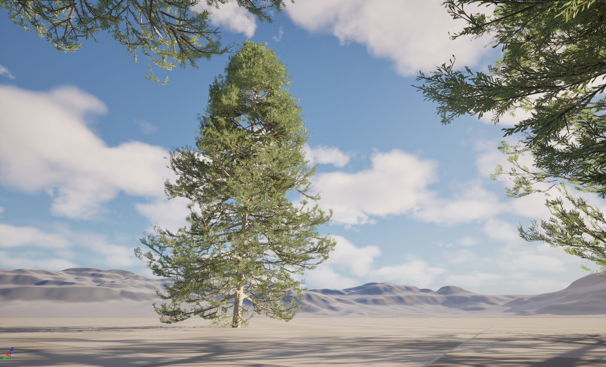 UE5 Nanite Plant Tree - Pseudotsuga menziesi - Douglas fir - Image 7