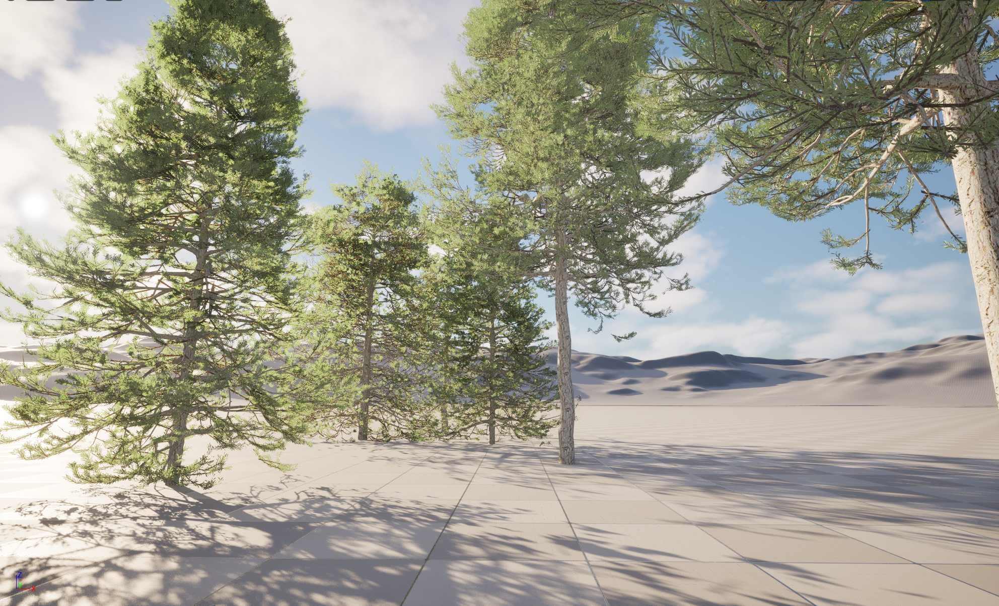 UE5 Nanite Plant Tree - Pseudotsuga menziesi - Douglas fir - Image 6