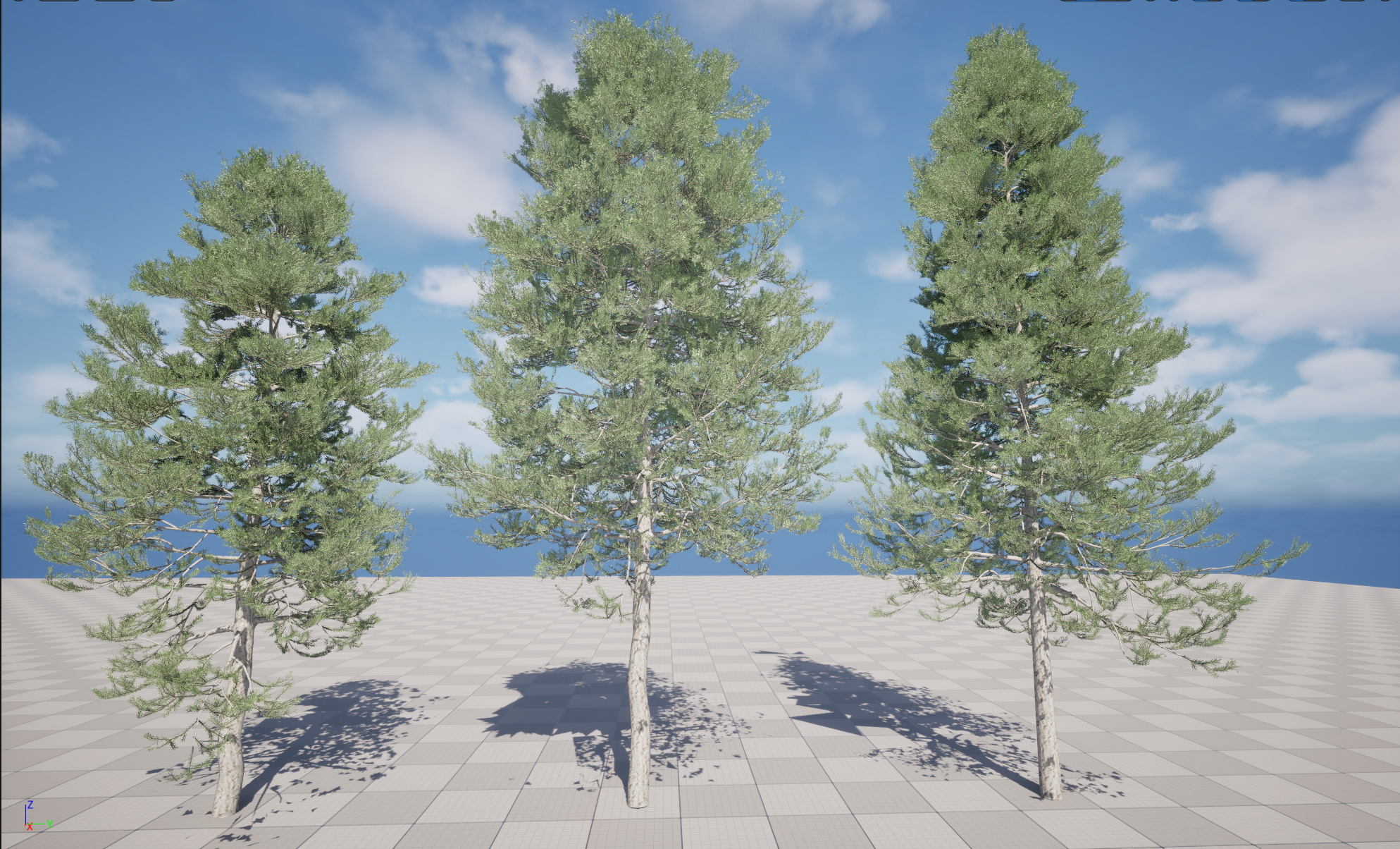 UE5 Nanite Plant Tree - Pseudotsuga menziesi - Douglas fir - Image 5