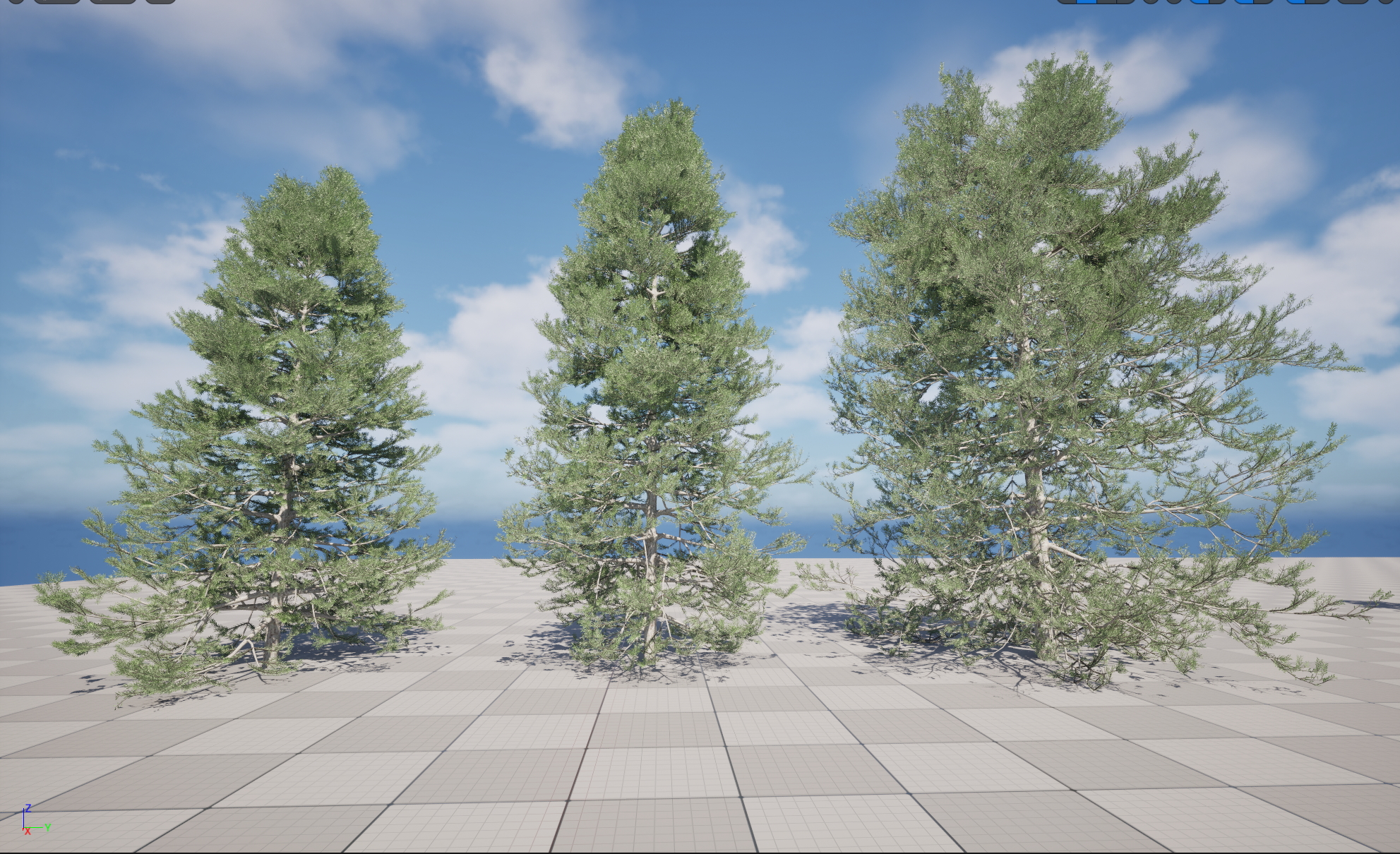 UE5 Nanite Plant Tree - Pseudotsuga menziesi - Douglas fir - Image 4