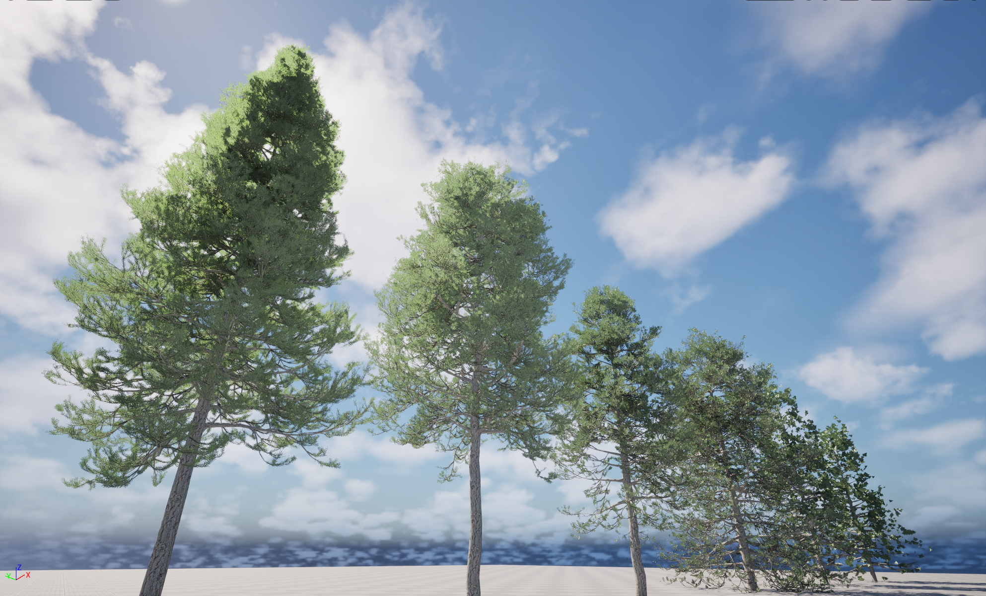 UE5 Nanite Plant Tree - Pseudotsuga menziesi - Douglas fir - Image 3