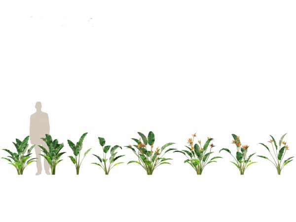 Jungle Foliage Pack 16 - Image 17
