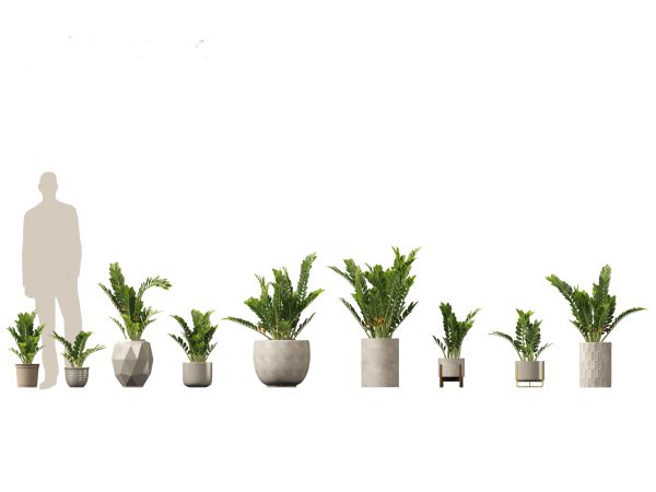 Chic Indoor Potted Plants Pack 27 - Image 19