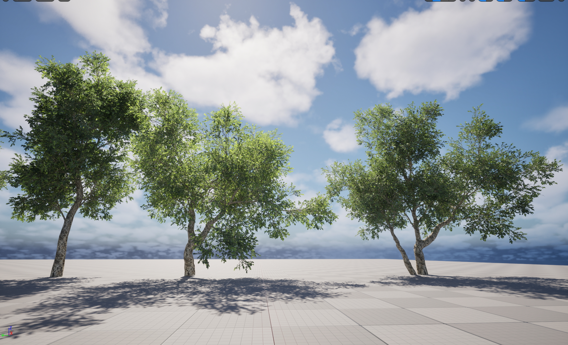 UE5 Nanite Plant Tree - Quercus suber - Cork oak - Image 2