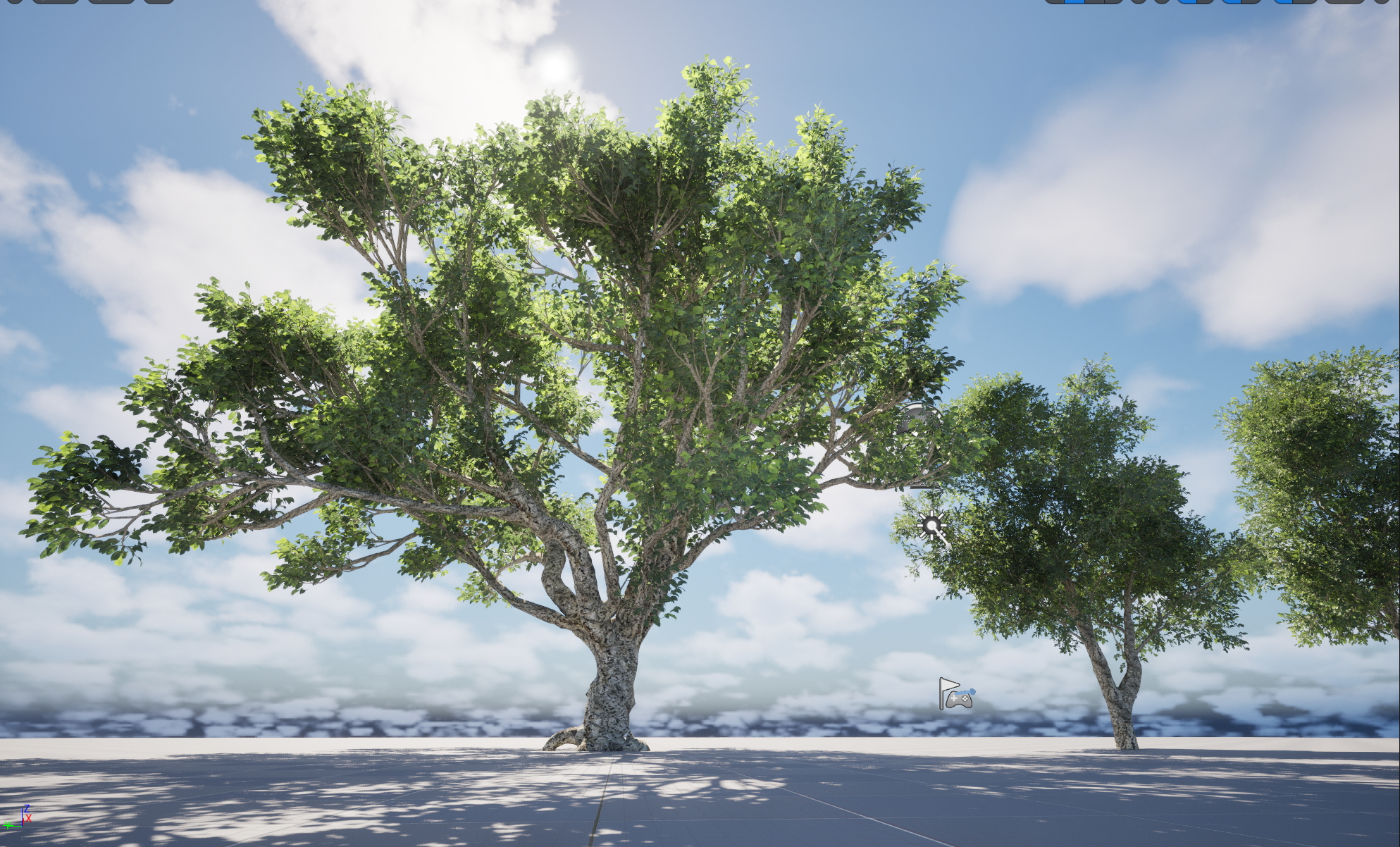 UE5 Nanite Plant Tree - Quercus suber - Cork oak - Image 6