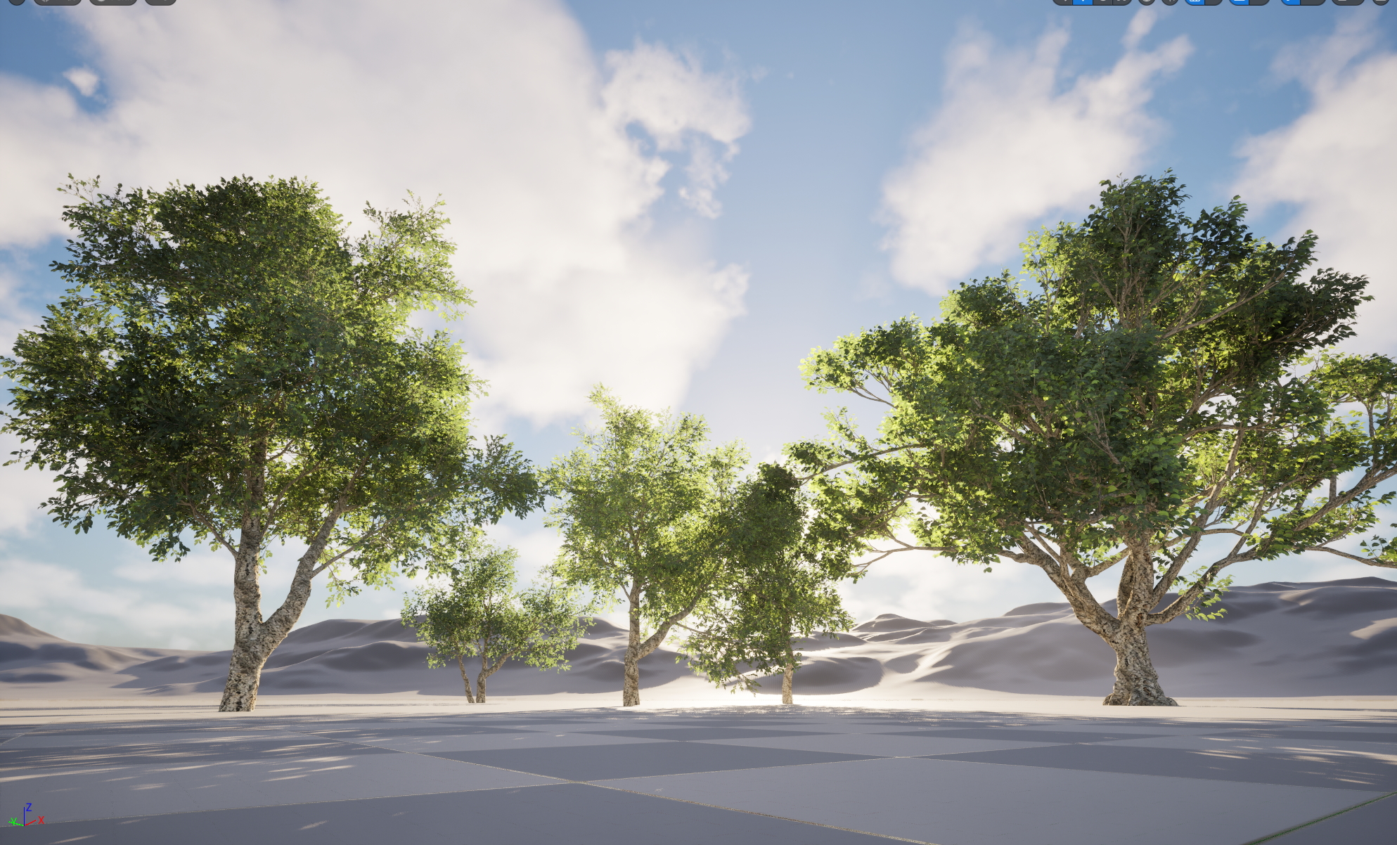 UE5 Nanite Plant Tree - Quercus suber - Cork oak