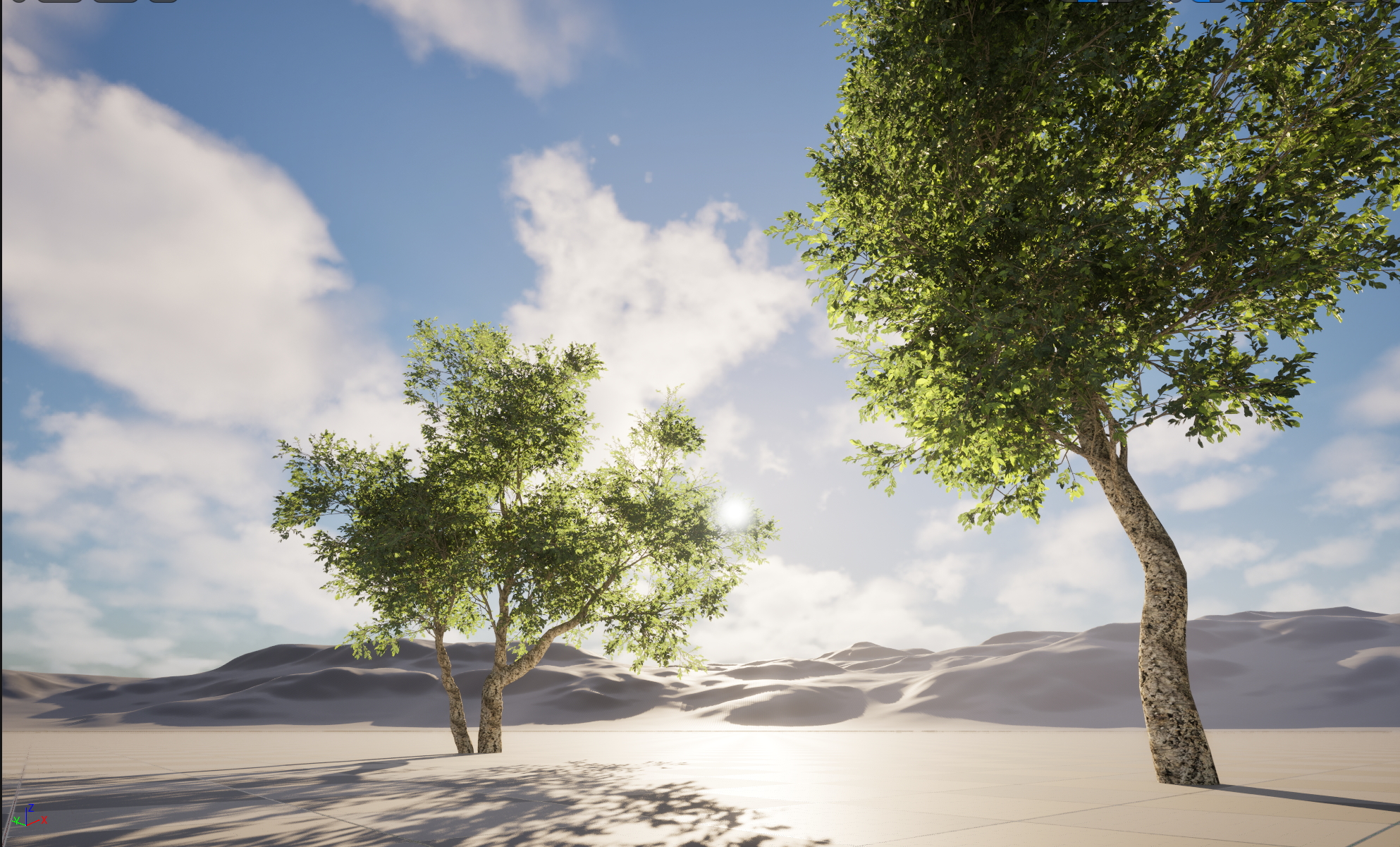 UE5 Nanite Plant Tree - Quercus suber - Cork oak - Image 4