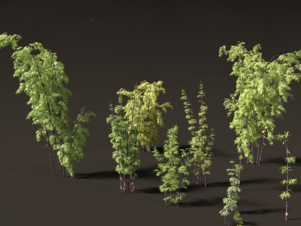 Elegant Bamboo & Grasses Pack 33 - Image 11