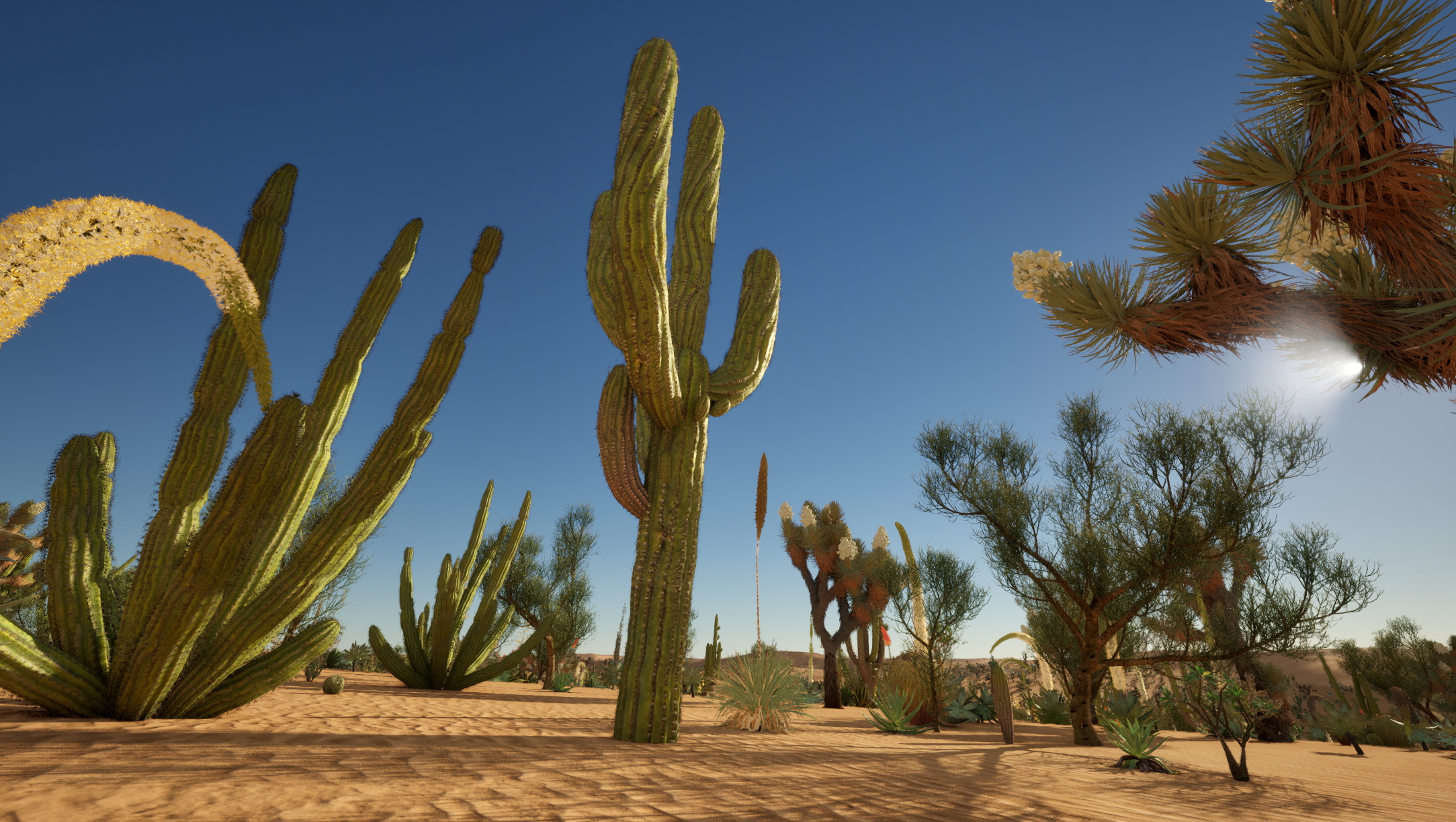 UE5 Nanite Plants - Succulents & Desert Plants Pack 07