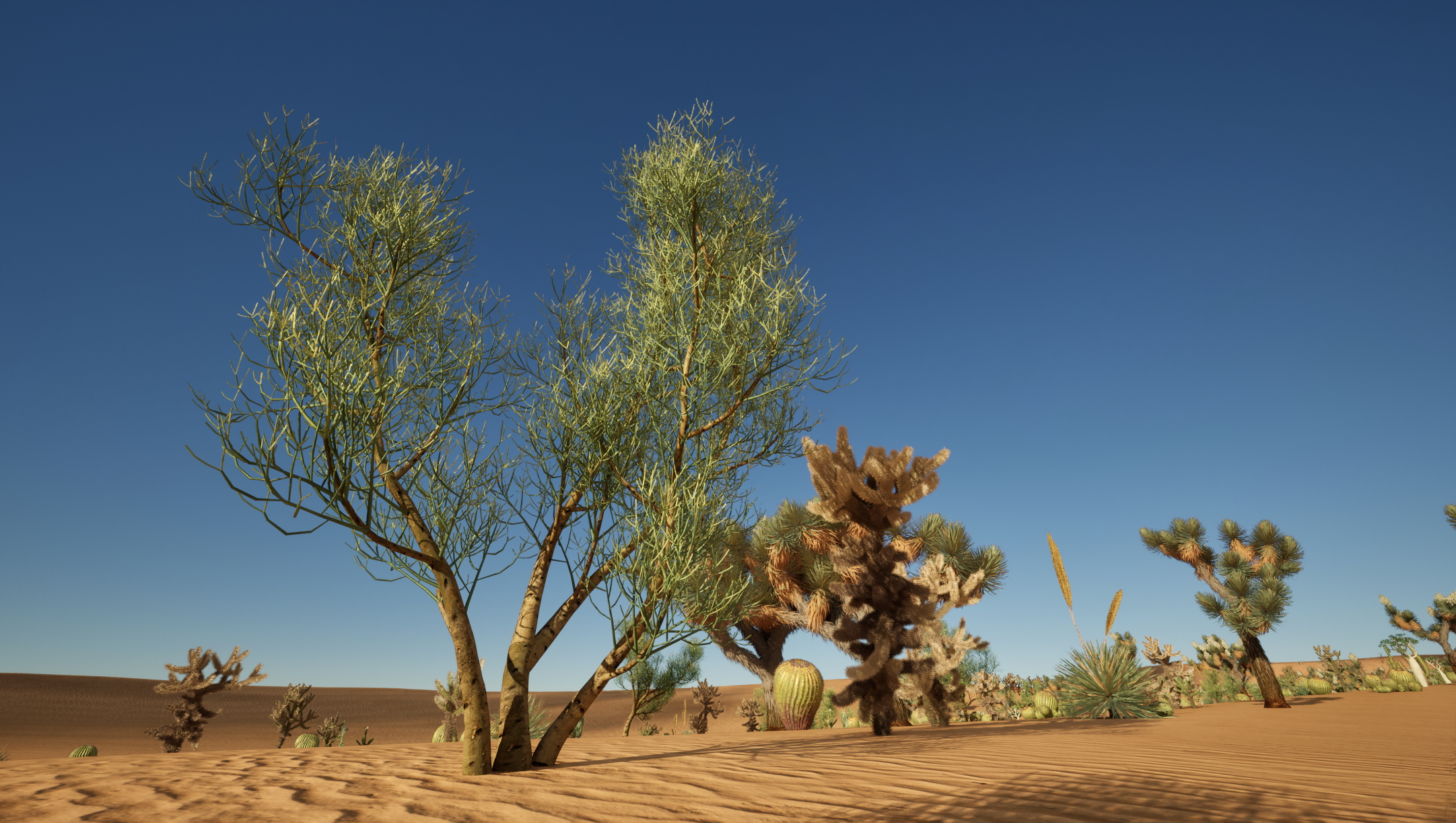 UE5 Nanite Plants - Succulents & Desert Plants Pack 07 - Image 4