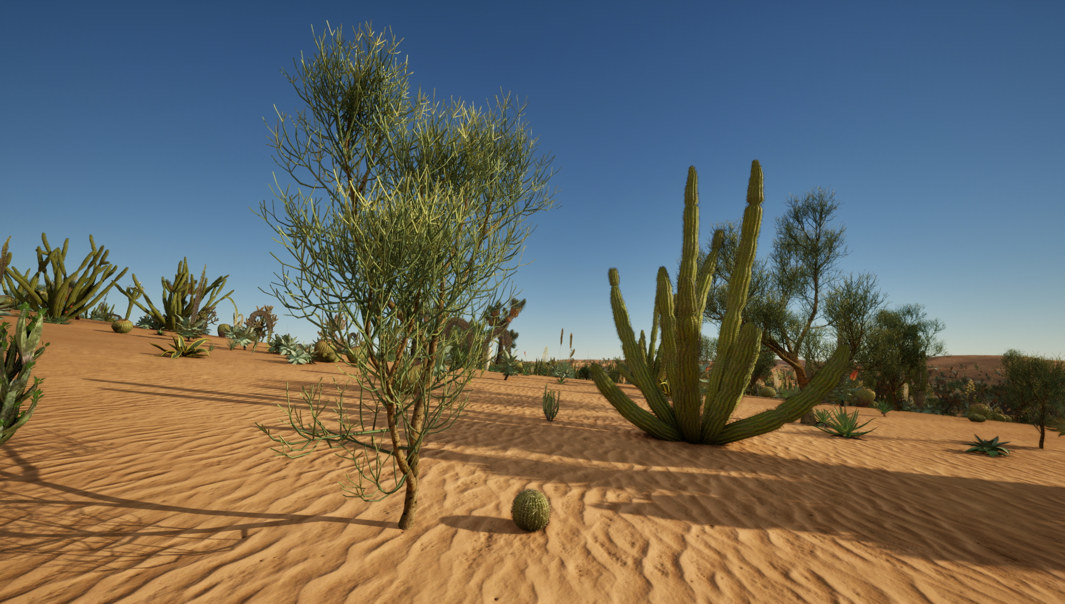 UE5 Nanite Plants - Succulents & Desert Plants Pack 07 - Image 3