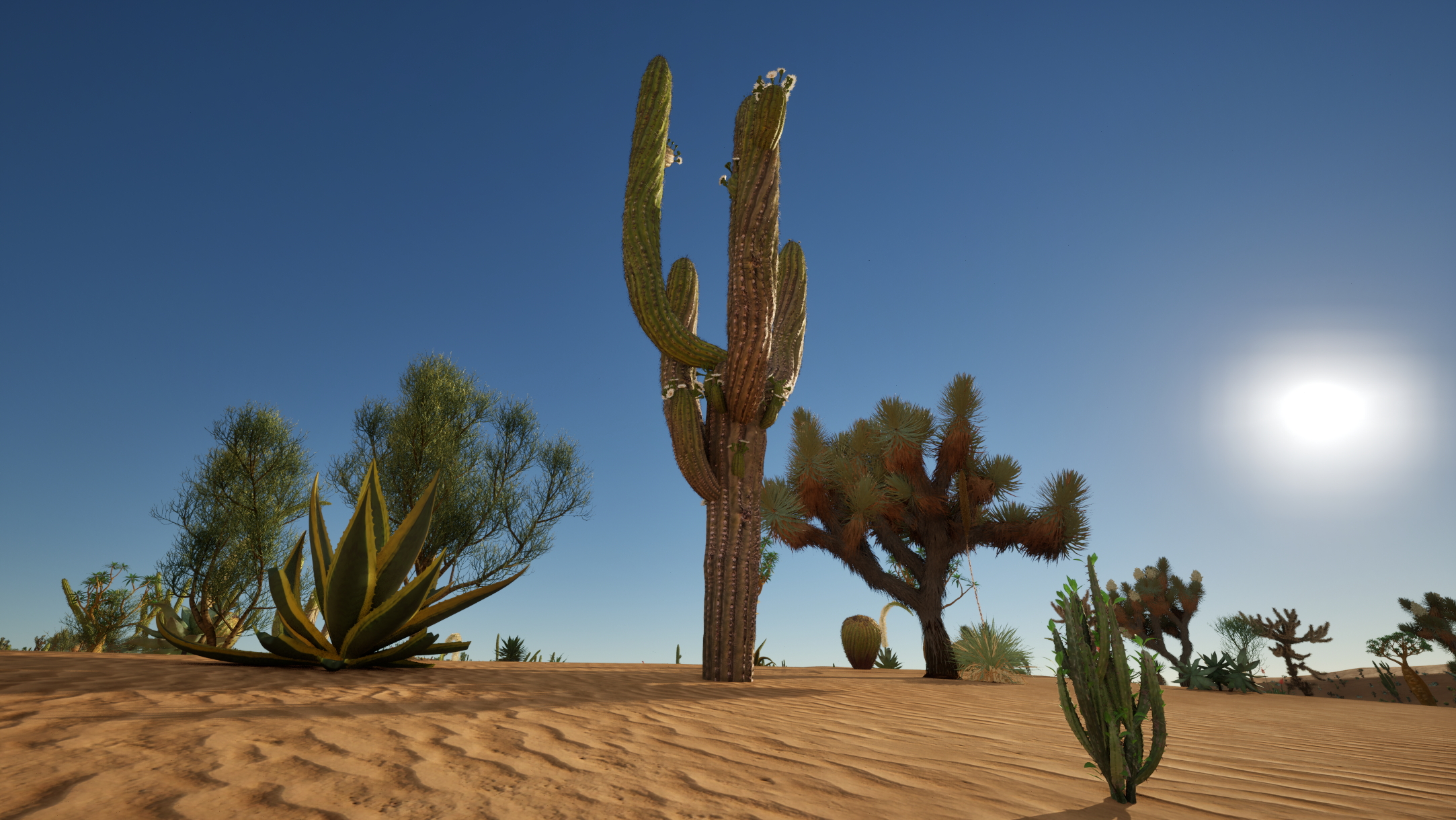 UE5 Nanite Plants - Succulents & Desert Plants Pack 07 - Image 8