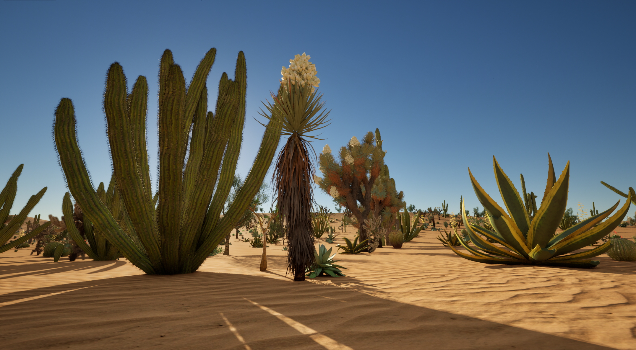 UE5 Nanite Plants - Succulents & Desert Plants Pack 07 - Image 6