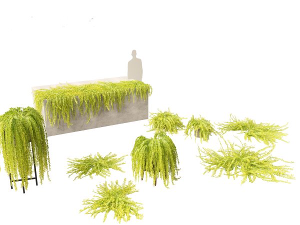 Groundcovers Pack 23 - Image 14