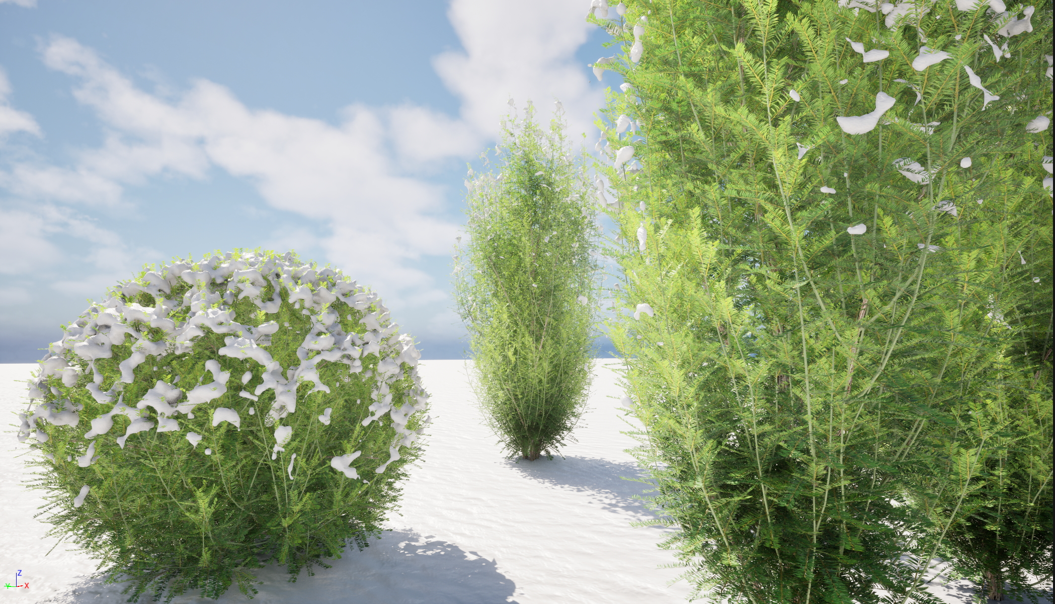 UE5 Nanite Snow Plants – Taxus baccata – English yew - Image 4