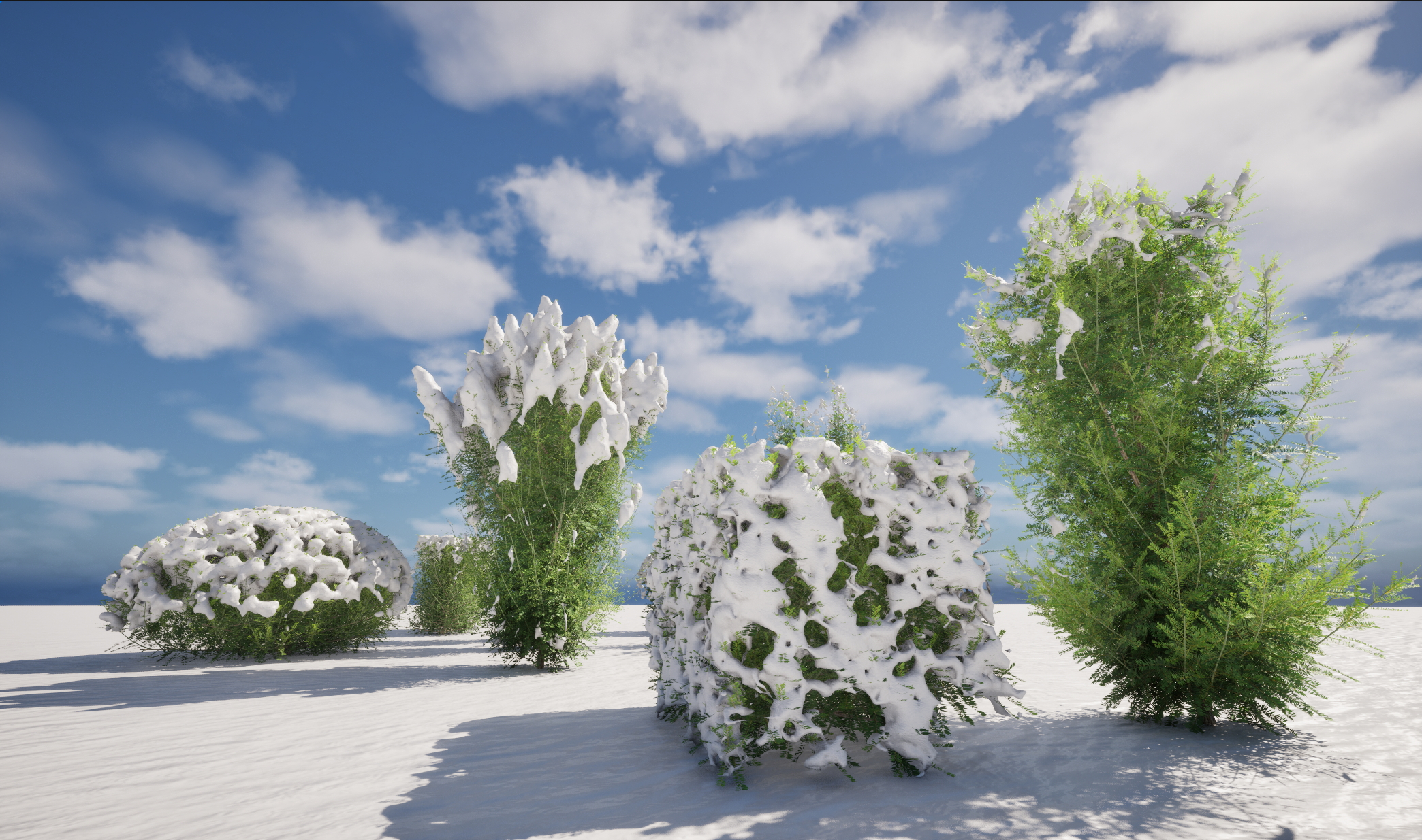 UE5 Nanite Snow Plants – Taxus baccata – English yew - Image 3