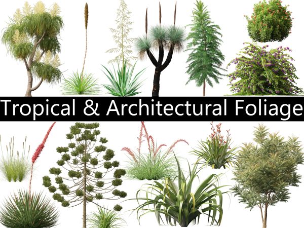 Tropical & Architectural Foliage Pack 51