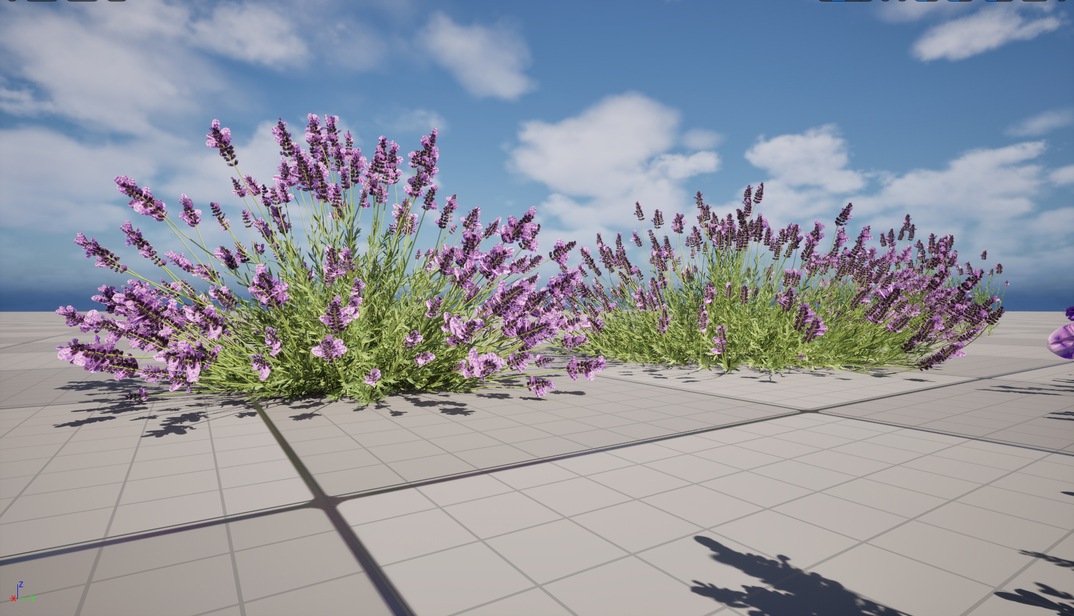 UE5 Wind Plants - Lavandula angustifolia – English lavender (Nanite+Masked material) - Image 6