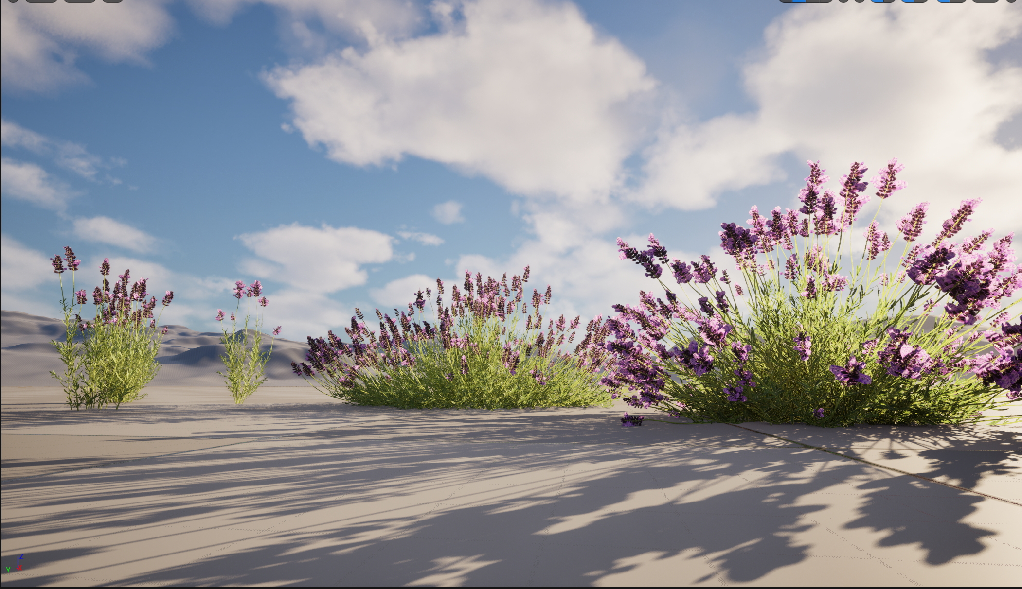 UE5 Wind Plants - Lavandula angustifolia – English lavender (Nanite+Masked material) - Image 3