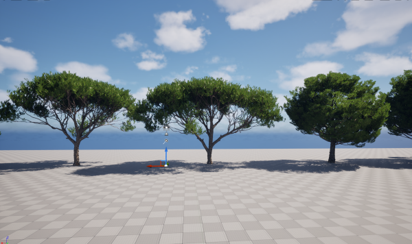 UE5 Wind Plants - Pinus pinea - Stone pine - Image 3
