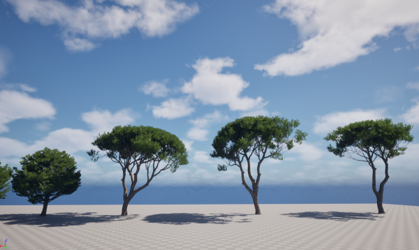 UE5 Wind Plants - Pinus pinea - Stone pine - Image 4