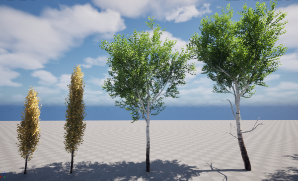 UE5 Wind Plants - Populus tremuloides – Quaking aspen - Image 2
