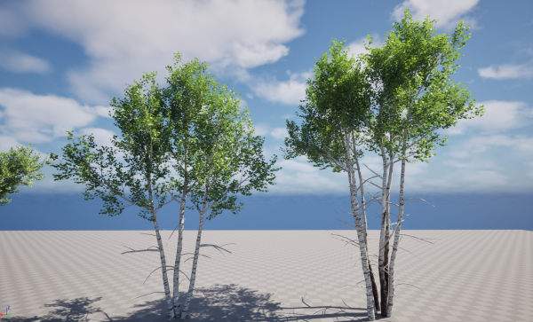UE5 Wind Plants - Populus tremuloides – Quaking aspen - Image 3