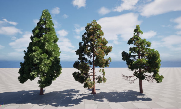 UE5 Wind Plants - cryptomeria japonica - Japanese cedar - Image 3