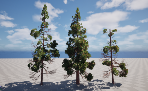 UE5 Wind Plants - cryptomeria japonica - Japanese cedar - Image 4