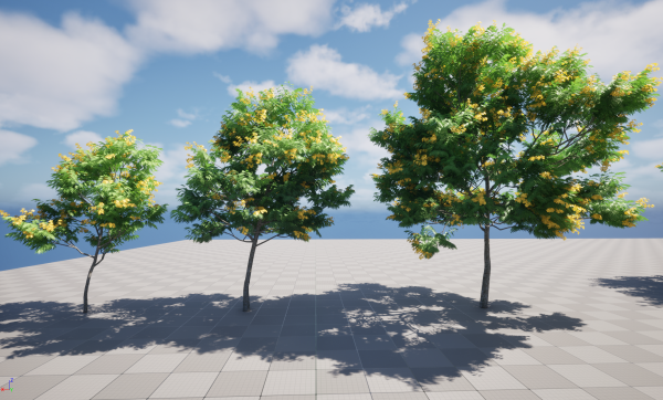 UE5 Wind Plants – Bulnesia arborea - verawood - Image 2