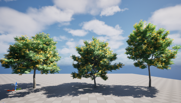 UE5 Wind Plants – Bulnesia arborea - verawood - Image 3