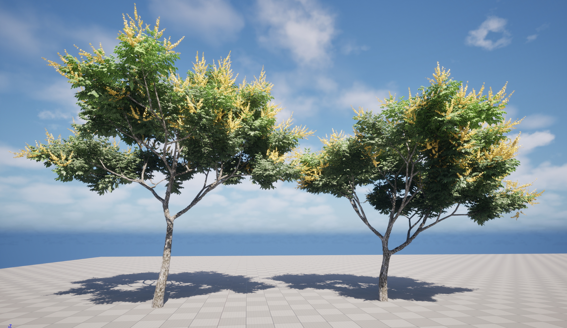 UE5 Wind Plants – Koelreuteria paniculata – golden rain tree - Image 3