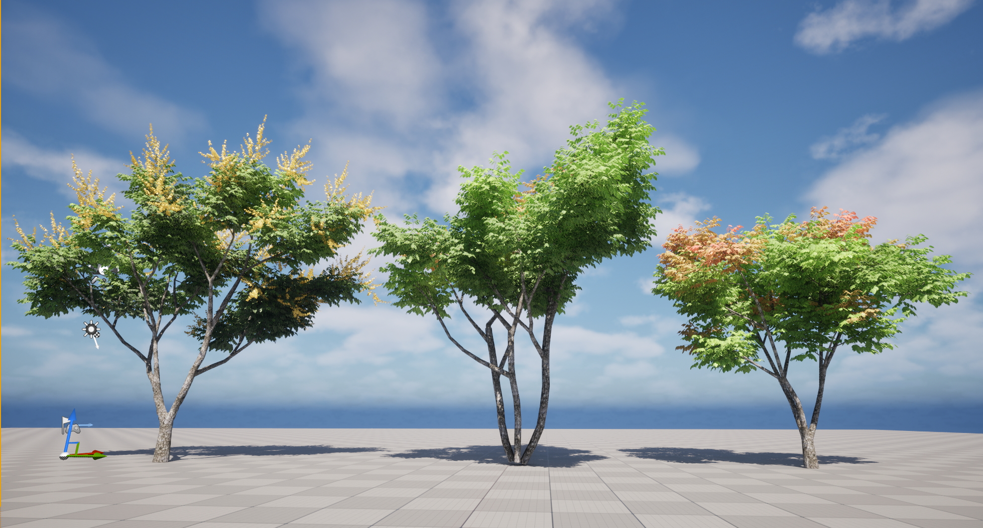 UE5 Wind Plants – Koelreuteria paniculata – golden rain tree - Image 4