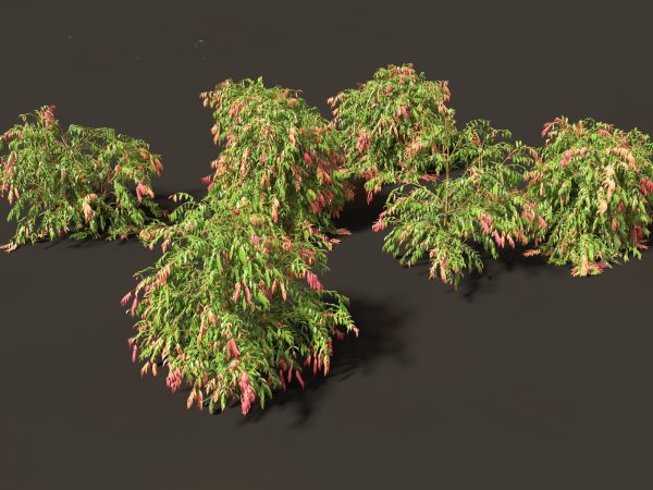 Exotic Tropical Greenery Pack 36 - Image 13
