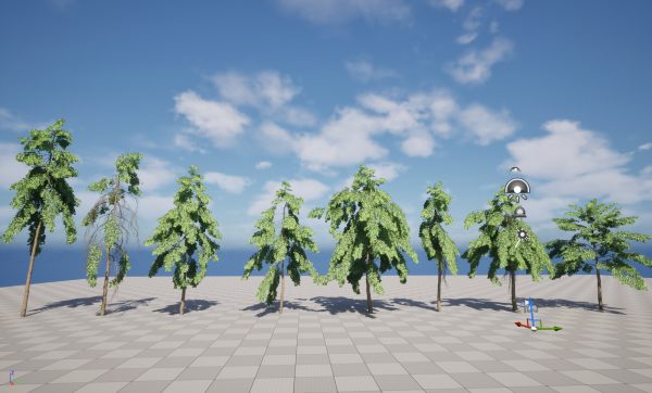 UE5 Wind Plants – Carallia brachiata Honiara - Freshwater Mangrove