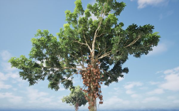 UE5 Wind Plants – Couroupita guianensis – Cannon Ball Tree - Image 4