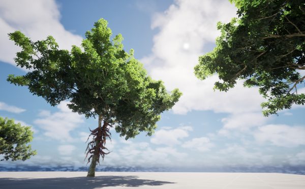 UE5 Wind Plants – Couroupita guianensis – Cannon Ball Tree - Image 3