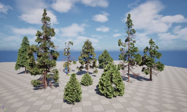 UE5 Wind Plants - cryptomeria japonica - Japanese cedar