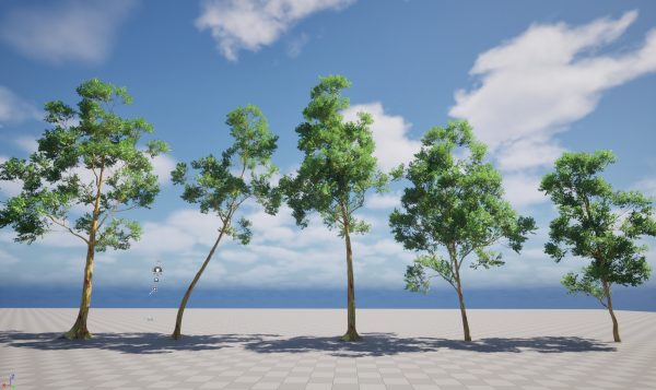 UE5 Wind Plants – Eucalyptus deglupta - Rainbow Gum - Image 4