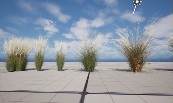 UE5 Wind Plants – Nassella tenuissima - Mexican feather grass - Image 2
