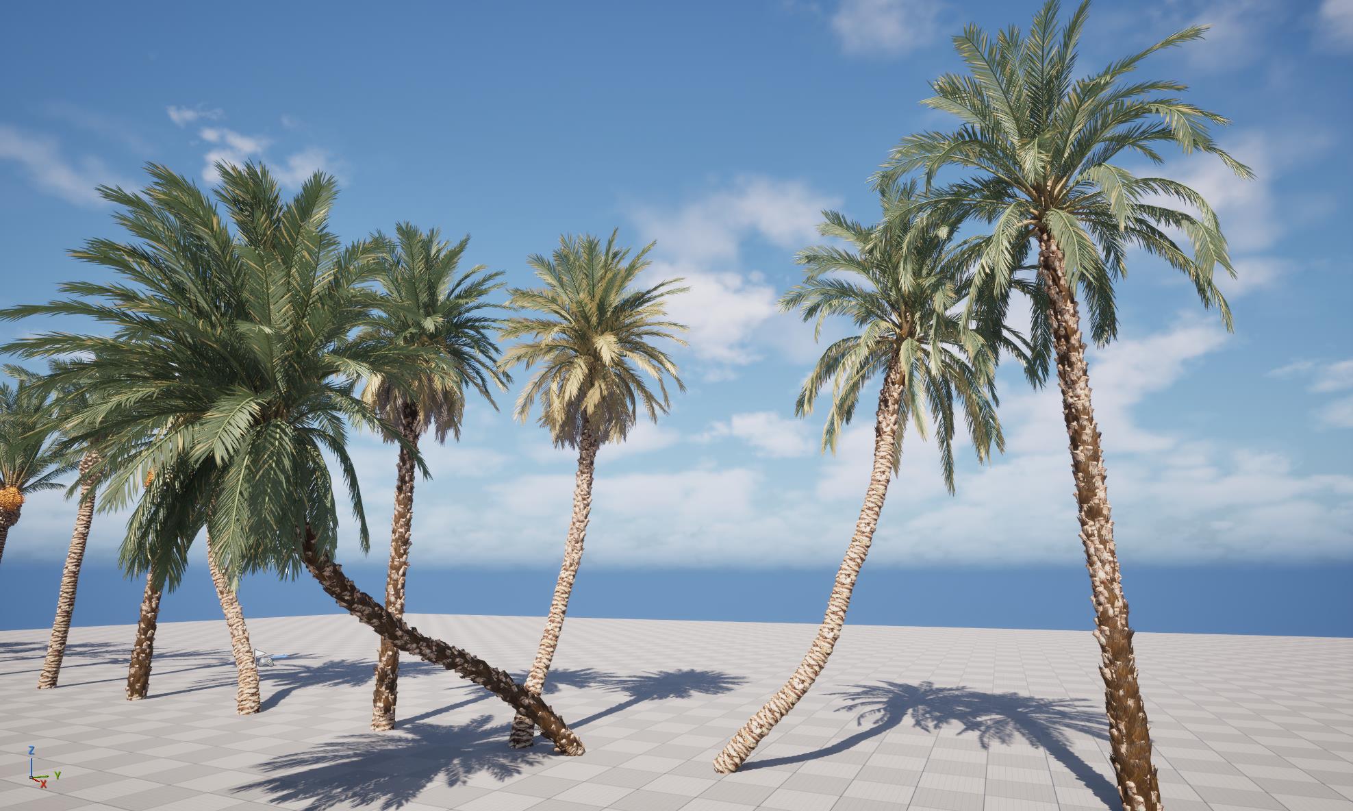 UE5 Wind Plants – Phoenix dactylifera - Date palm - Image 4