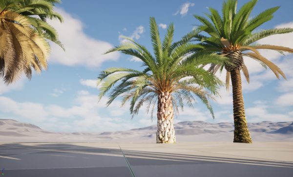 UE5 Wind Plants – phoenix canariensis – Canary Island date palm - Image 2