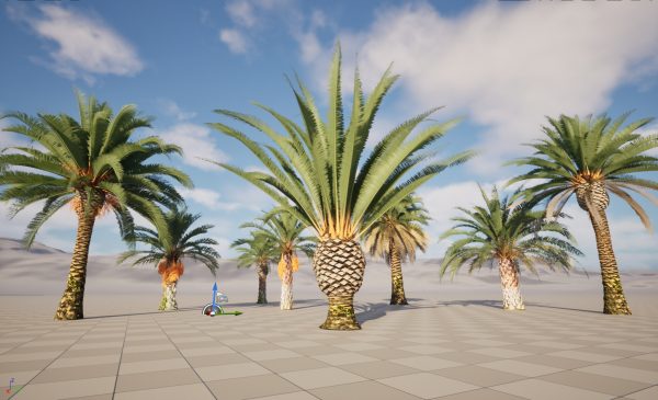 UE5 Wind Plants – phoenix canariensis – Canary Island date palm - Image 5