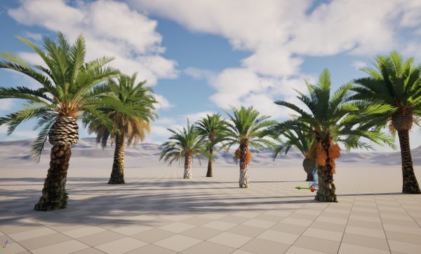 UE5 Wind Plants – phoenix canariensis – Canary Island date palm - Image 4