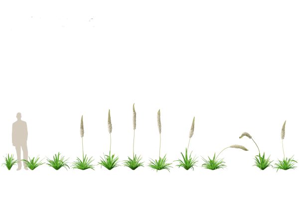 Garden Greenery Essentials Pack 39 - Image 13