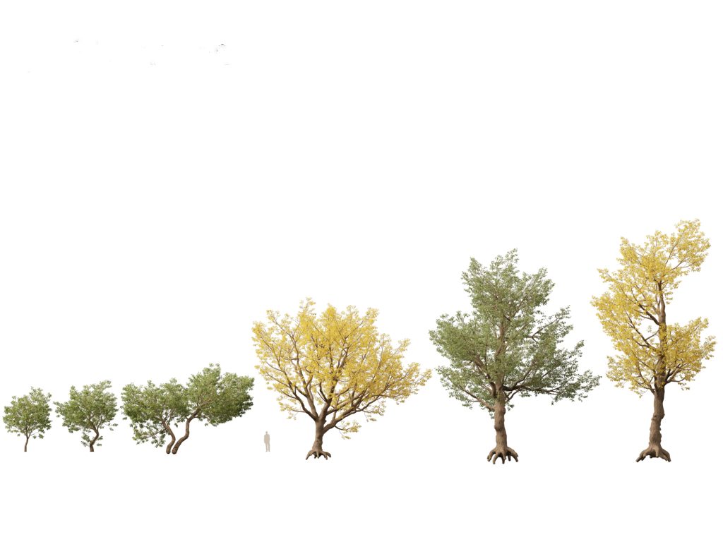 Model Pine Trees Bulk Box 130 trees 75 - 135mm tall