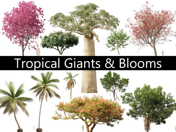 Tropical Giants & Blooms Pack 01