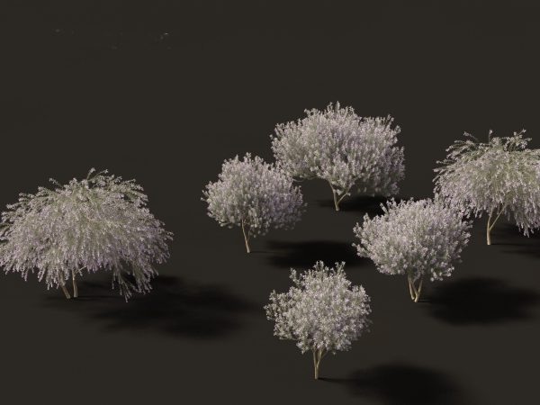 Mediterranean & Arid Plants Pack 44 - Image 26